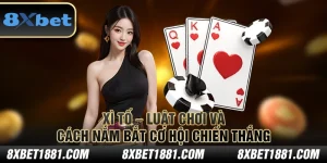 Xì Tố – Luật chơi và cách nắm bắt cơ hội chiến thắng